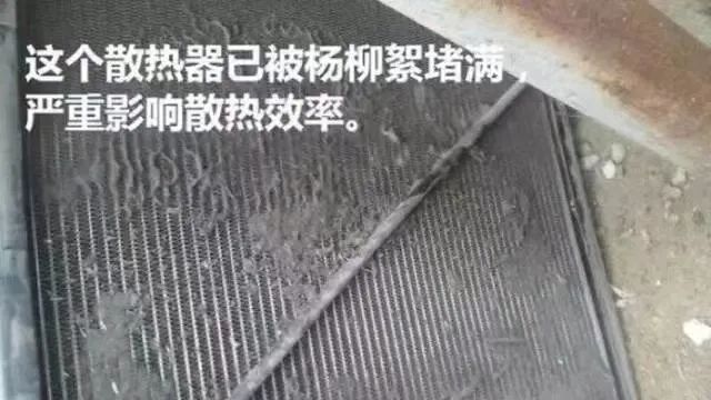 春季柳絮多，空壓機如何防范和清理